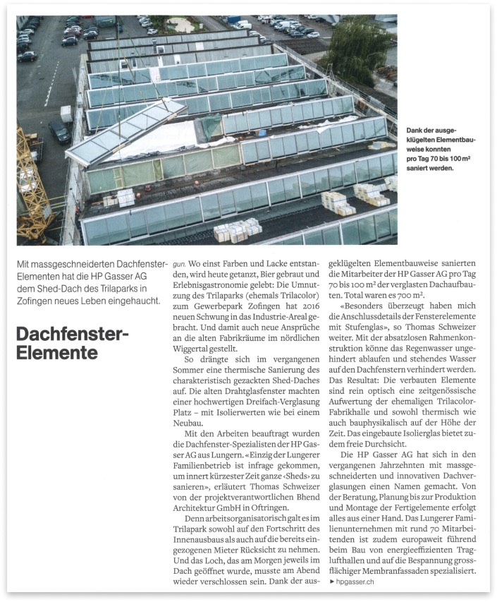 Shed-Dachsanierung Trilapark